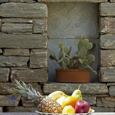 Bioclimatic Stone Built 别墅