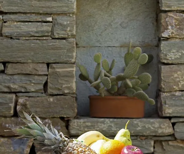 Bioclimatic Stone Built Villa